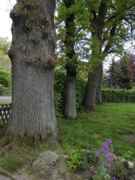 Diepenau PROVISIONSFREI*: Haus der vielen Möglichkeiten Gewerbe kaufen