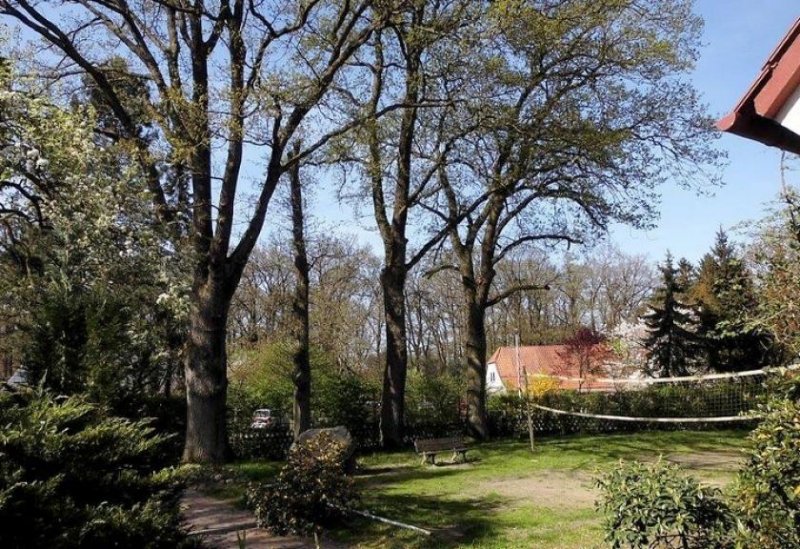 Diepenau PROVISIONSFREI*: Haus der vielen Möglichkeiten Gewerbe kaufen