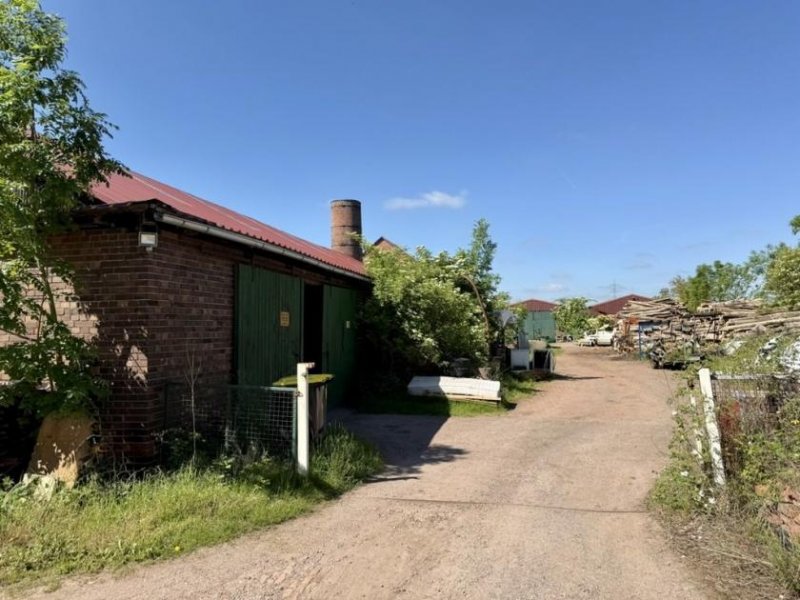 Lindhorst Gewerbehof mit Wohnen, Lager und Entwicklungspotenzial Gewerbe kaufen