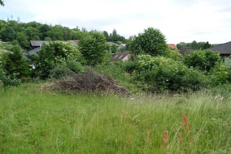 Bad Eilsen Baugrundstück mit Traumblick am Hang Grundstück kaufen