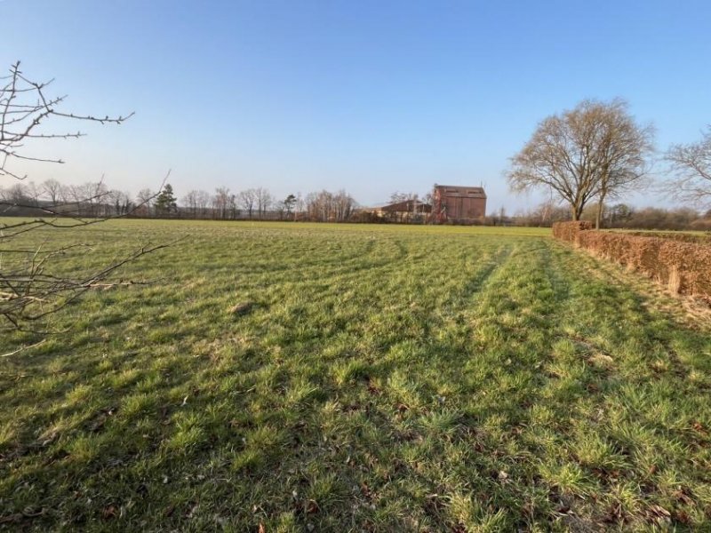 Pollhagen ***Idyllisch gelegenes Baugrundstück in Ortsrandlage am Landschaftsschutzgebiet*** Grundstück kaufen