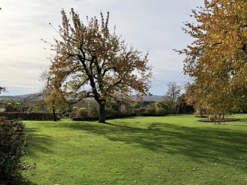 Auetal individuelles Wohnhaus mit unverbautem Fernblick Haus kaufen