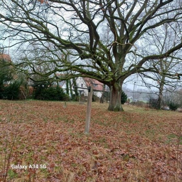 Bünde Einfamilienhaus *** renovierungsbedürftig, auf einem grißen Grundstück Haus kaufen
