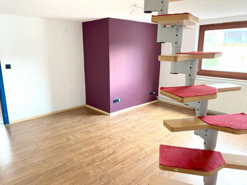 Dörentrup 2 Häuser zum Preis von einem! Mit Deele und 4 Wohnungen mit separaten Eingängen Haus kaufen