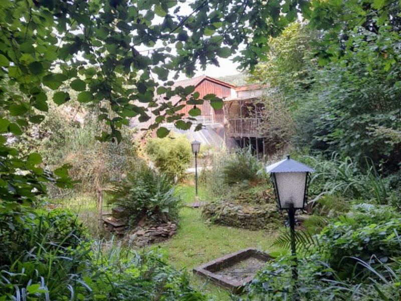 Dörentrup RESERVIERT: 2 Häuser zum Preis von einem! Mit Deele und 4 Wohnungen mit separaten Eingängen Haus kaufen