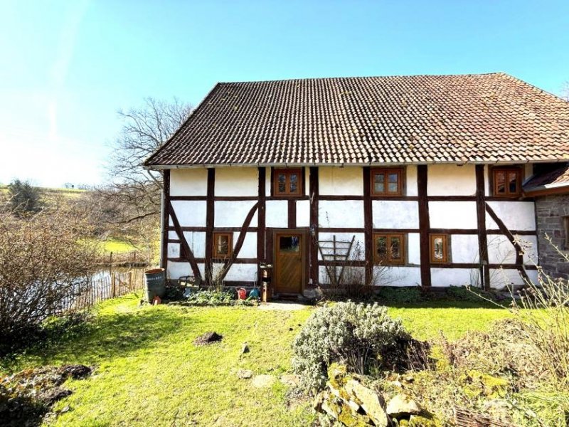 Extertal Großzügige Eigentumswohung auf gepflegtem Resthof Wohnung kaufen