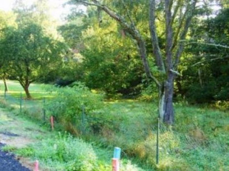 Kaufungen Allerbeste Adresse! Baugrundstück in Spitzenlage von Oberkaufungen.