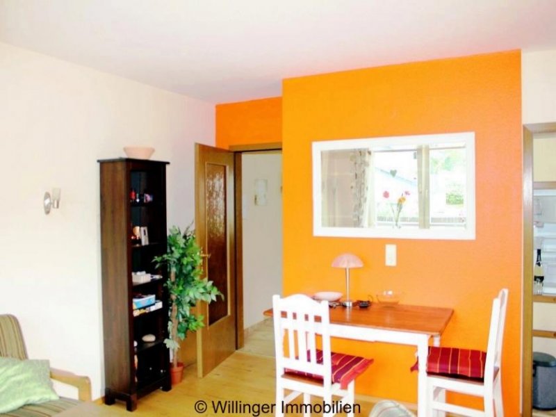 Willingen (Upland) Charmante Eigentumswohnung im Strycktal von Willingen Wohnung kaufen