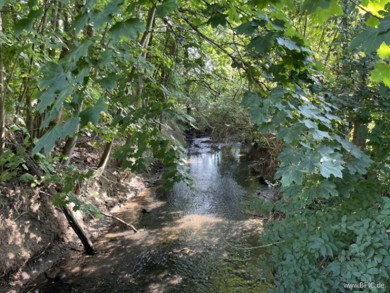 Felsberg Campingplatz in idyllischer Lage, sanierungsbedürftig - Pferdestall & Mühle optional erwerbbar Gewerbe kaufen