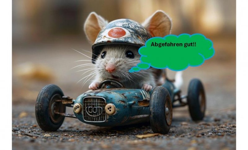 Schwalmstadt "Ein Preis, ein Haus, ein Grundstück - mit Okal wird Wohnen planbar." Haus kaufen