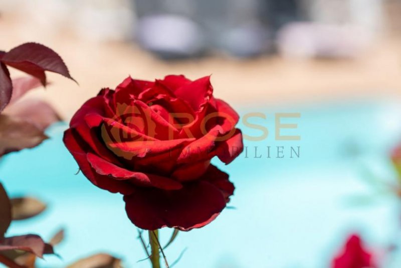 Monte Leon Villa mit spektakluärer Aussicht in Monte Leon zu verkaufen Haus kaufen