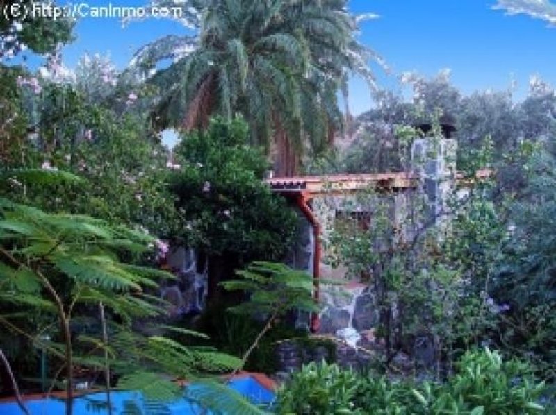Ingenio de Santa Lucia Finca in einem Pardiesgarten mit Banane, Feigen, Mandeln, Avocados Wohnung kaufen