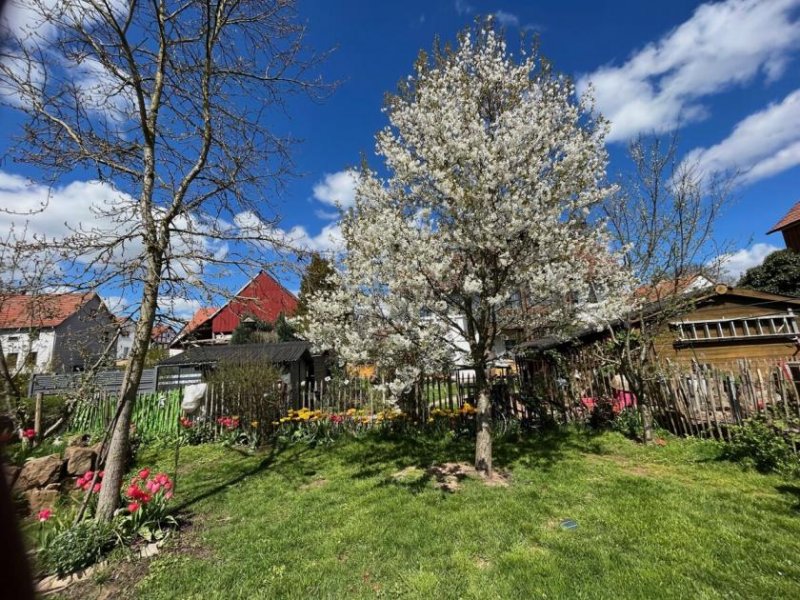 Gemünden (Wohra) Famillienfreundliches Haus, Energetisch interessant und zentral - Bitte Gebot abgeben Haus kaufen