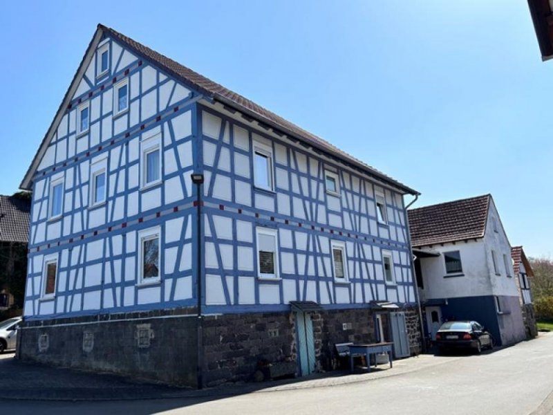 Gemünden (Felda) Zwei-Immobilien-Ensemble, großem Garten und historischem Charme - vielseitige Nutzungsmöglichkeiten Haus kaufen