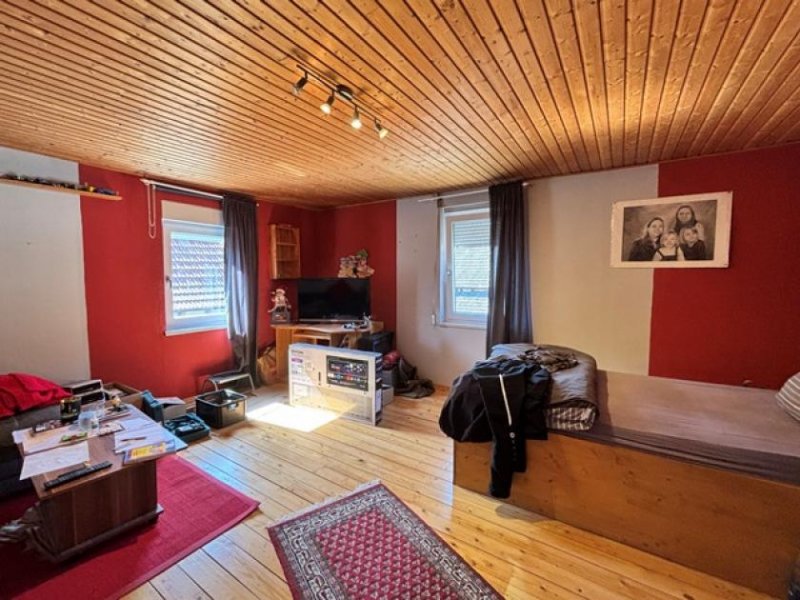 Gemünden (Felda) Zwei-Immobilien-Ensemble, großem Garten und historischem Charme  vielseitige Nutzungsmöglichkeiten Haus kaufen