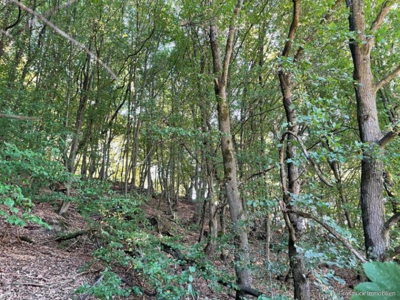 Herborn (Lahn-Dill-Kreis) Landwirtschaftliche Grundstücke rund um Herborn zu verkaufen - Auch im Paket Grundstück kaufen