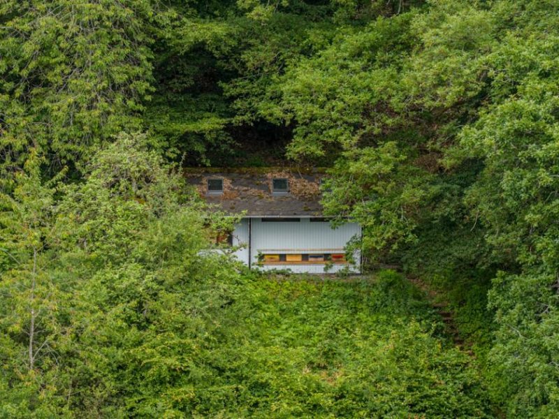 Siegbach ++ KRAG Immobilien ++ Naturareal mit Werkstatt, Spiel- und Freizeitflächen für aktive Köpfe ++ Haus kaufen