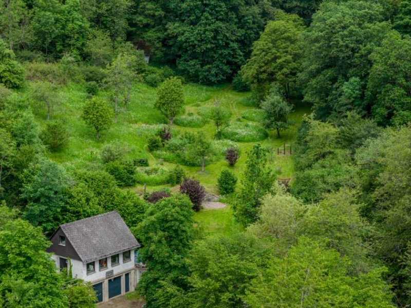 Siegbach ++ KRAG Immobilien ++ Naturareal mit Werkstatt, Spiel- und Freizeitflächen für aktive Köpfe ++ Haus kaufen