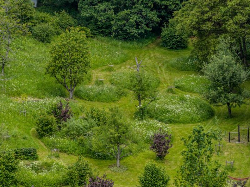 Siegbach ++ KRAG Immobilien ++ Naturareal mit Werkstatt, Spiel- und Freizeitflächen für aktive Köpfe ++ Haus kaufen
