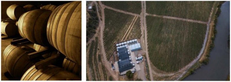 Yerbas Buenas Traumhaftes Weingut mit 343 ha in Maule, Chile Gewerbe kaufen