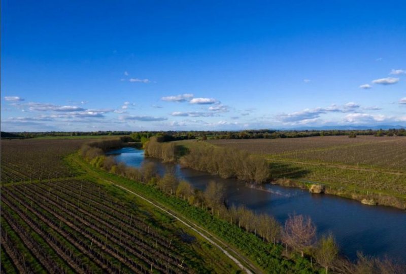 Yerbas Buenas Traumhaftes Weingut mit 343 ha in Maule, Chile Gewerbe kaufen