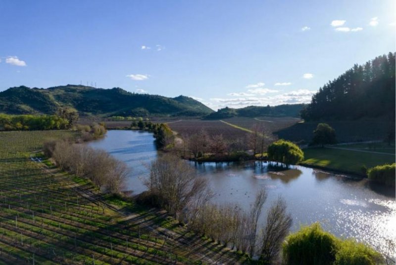 Yerbas Buenas Traumhaftes Weingut mit 343 ha in Maule, Chile Gewerbe kaufen