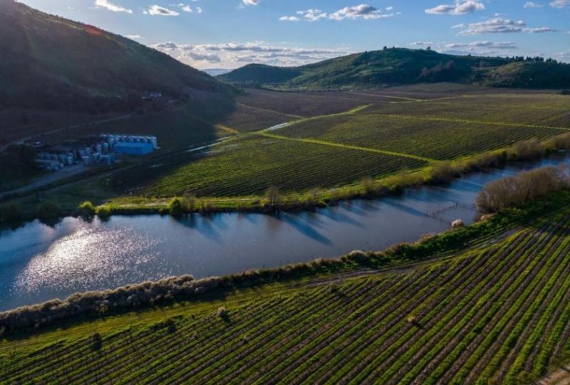 Yerbas Buenas Traumhaftes Weingut mit 343 ha in Maule, Chile Gewerbe kaufen