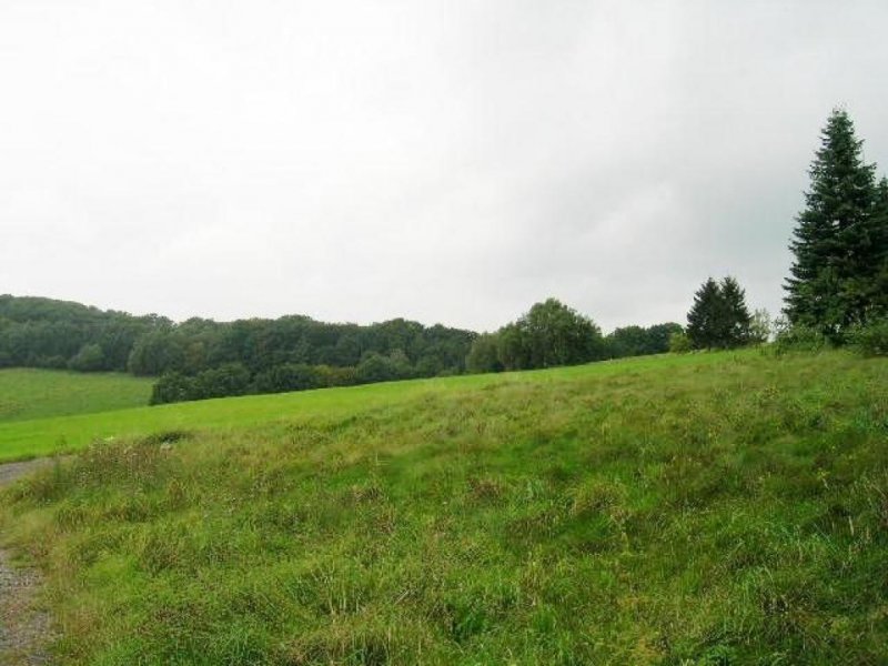 Kalbach Traumhaftes S/O-Baugrundstück mit tollem Blick ins Kalbachtal Grundstück kaufen