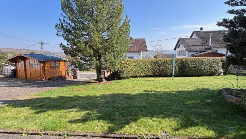 Feldatal Einfamilienhaus mit Panoramablick und Einliegerwohnung in ruhiger Lage Haus kaufen