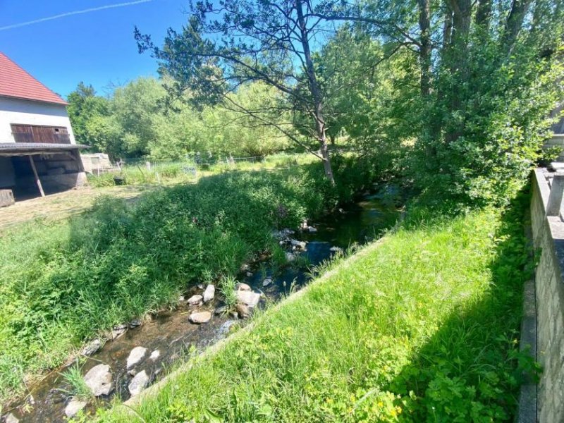 Feldatal Idylle am Bachlauf: Gepflegtes EFH mit parkähnlichem Garten & Ausbaupotenzial Haus kaufen