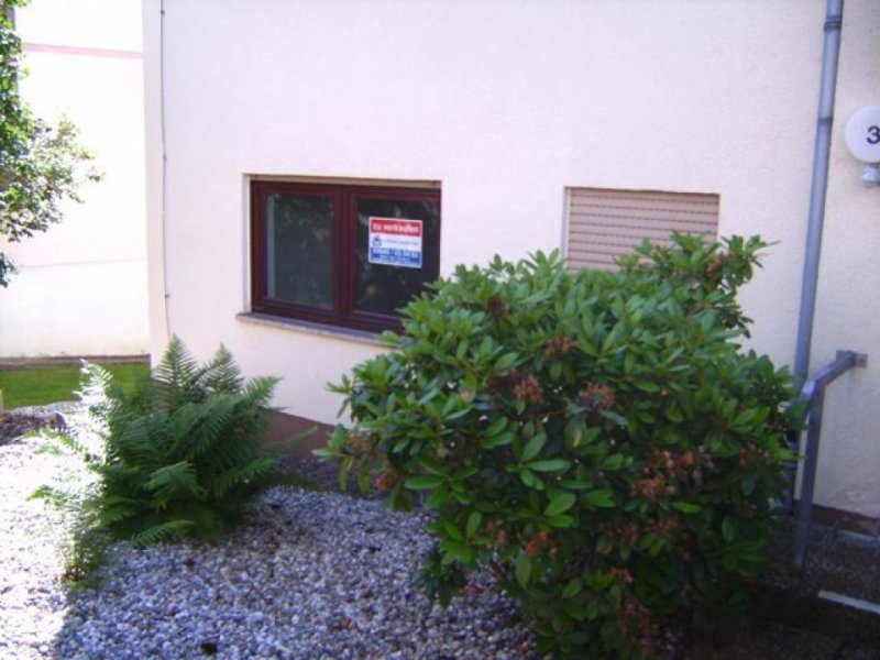 Bad Salzschlirf ***Klein aber mein***Eigentumswohnung mit Balkon*** Nähe Kurpark***Frei ab sofort*** Wohnung kaufen