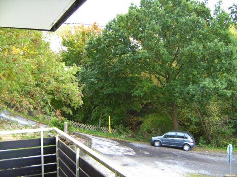 Bad Salzschlirf ***Klein aber mein***Eigentumswohnung mit Balkon*** Nähe Kurpark***Frei ab sofort*** Wohnung kaufen