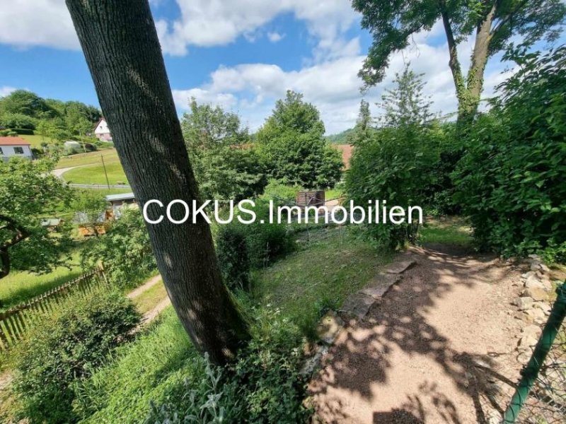 Bad Liebenstein Kapitalanlage Bad Liebenstein: vollvermietetes Denkmal-MFH (6 WE) mit 4.391 m² Grund und ca. 4,2 % Brutto-Rendite Haus kaufen