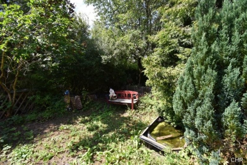 Walkenried 3 Familienhaus in toller Lage mit ebenerdigen Garten Haus kaufen