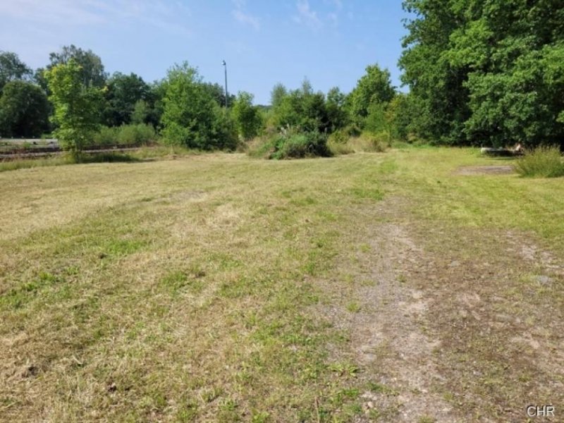 Walkenried Ebenerdiges Grundstück, ideal geeignet als Lagerplatz für Holz - Mietkauf möglich - Grundstück kaufen