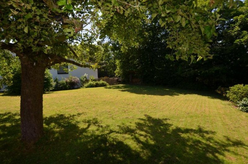 Holzminden 1-Familienhaus mit Garage in ruhiger, bevorzugter Wohnlage – Holzminden Haus kaufen