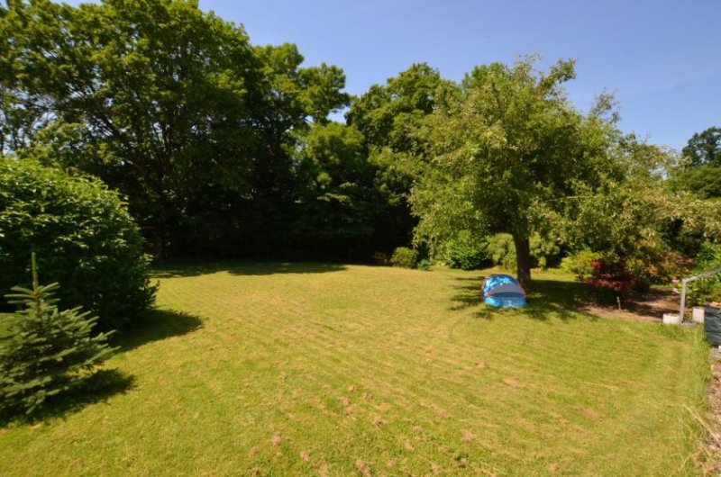 Holzminden 1-Familienhaus mit Garage in ruhiger, bevorzugter Wohnlage – Holzminden Haus kaufen