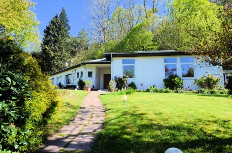 Holzminden Stark sanierungsbedürftiges Wohnhaus bzw. Grundstück mit Abrisshaus in guter Wohnlage Haus kaufen