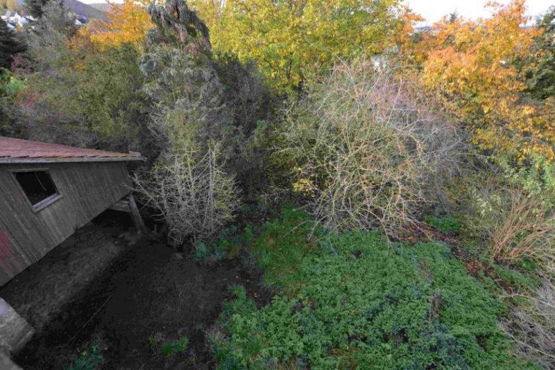 Hehlen Fachwerkhaus mit integrierter Scheune und großem Grundstück in 37619 Hehlen! Haus kaufen