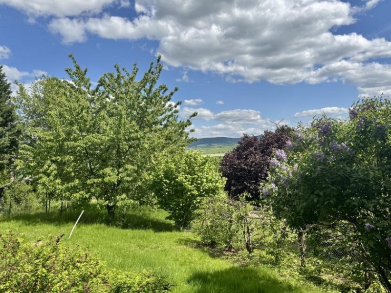 Heyen vielseitiges Fachwerkhaus mit Halle und Fernblick Haus kaufen