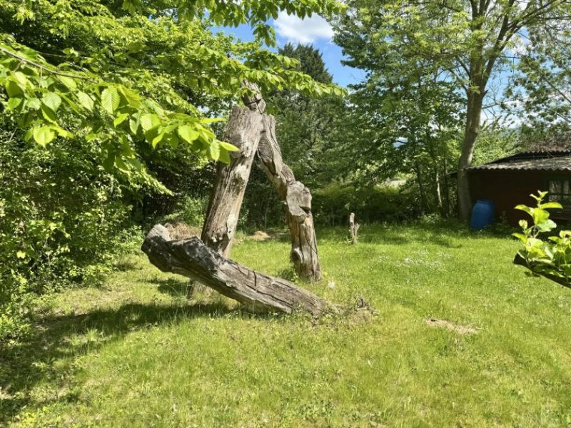 Heyen vielseitiges Fachwerkhaus mit Halle und Fernblick Haus kaufen