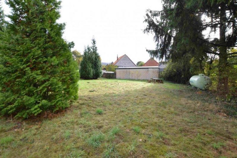 Hunzen Fachwerkhaus (Resthof) in 37620 Halle OT Hunzen Haus kaufen