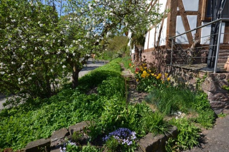 Golmbach Fachwerkhaus in landschaftlich reizvoller Dorfrandlage mit Sicht in die - Rühler-Schweiz - Haus kaufen