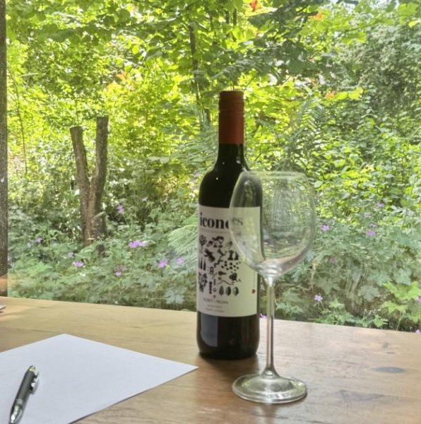 Golmbach zukunftsorientiertes Einfamilienhaus in Waldlage Haus kaufen