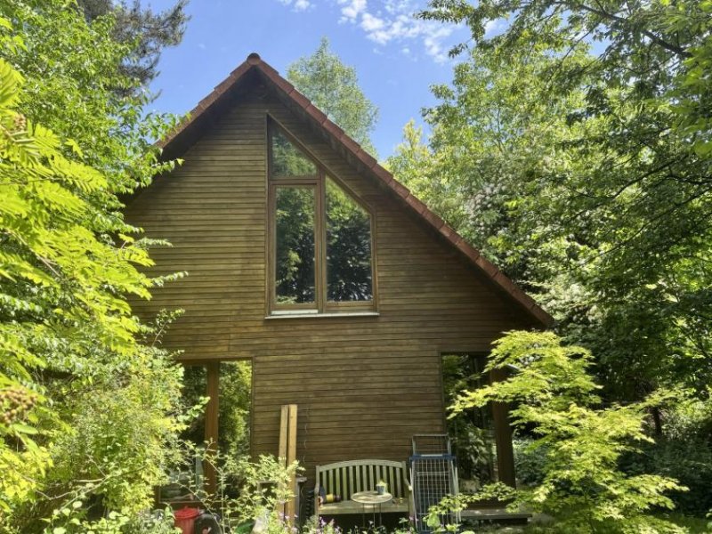 Golmbach zukunftsorientiertes Einfamilienhaus in Waldlage Haus kaufen