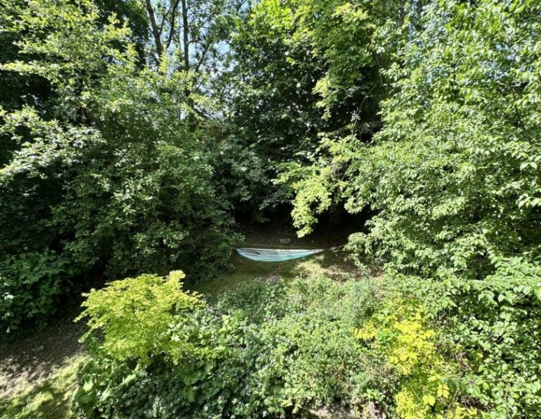 Golmbach zukunftsorientiertes Einfamilienhaus in Waldlage Haus kaufen