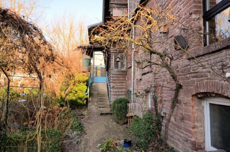 Negenborn 1-Familienwohnhaus mit Einliegerwohnung und Carport Haus kaufen