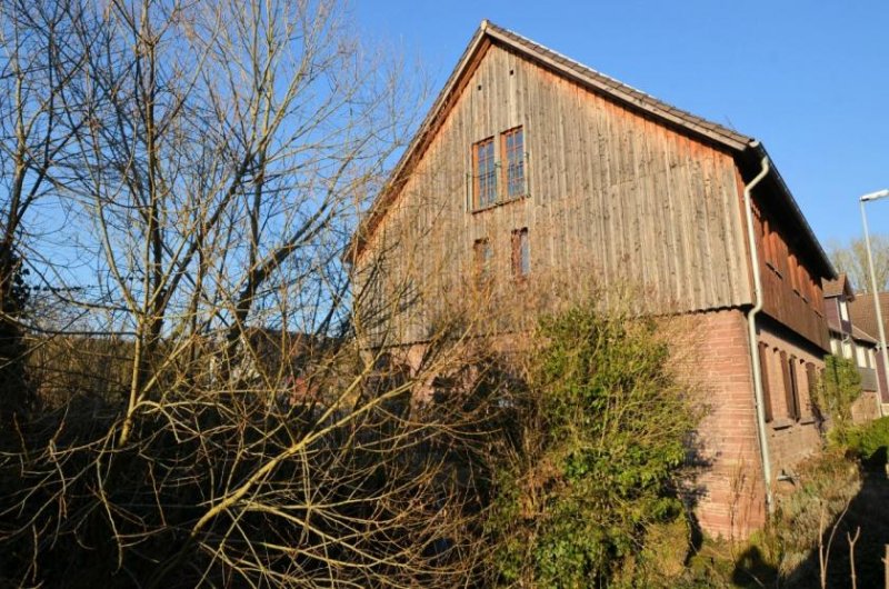 Negenborn 1-Familienwohnhaus mit Einliegerwohnung und Carport Haus kaufen