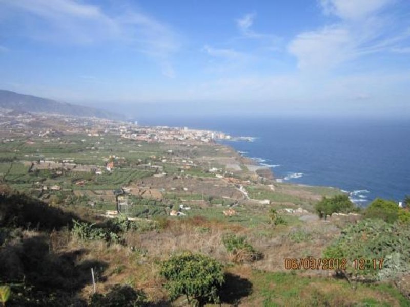 La Orotava Chalet in Orotava zu verkaufen Haus kaufen