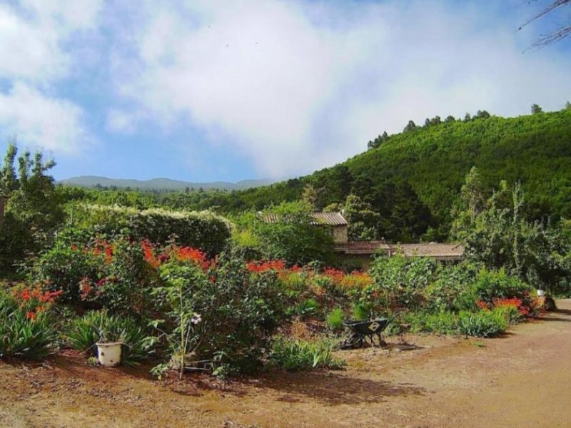 El Sauzal NH-252021 - Finca El Sauzal - Teneriffa Nord / Ost Haus kaufen